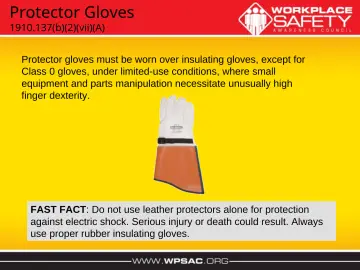 Slide 26: Protector Gloves