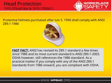 Slide 31: Head Protection