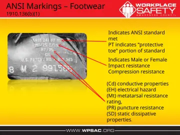 Slide 39: ANSI Markings – Footwear