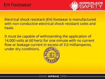 Slide 40: EH Footwear
