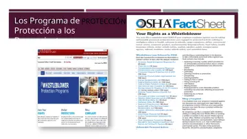 Slide 7: Los PROGRAMA