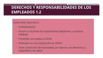Slide 9: DERECHOS Y RESPONSABILIDADES DE LOS EMPLEADOS 1.2