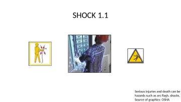 Slide 13: SHOCK 1.1