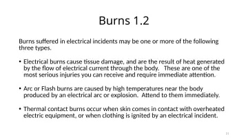 Slide 21: Burns 1.2