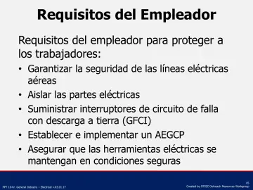 Slide 45: Requisitos del Empleador