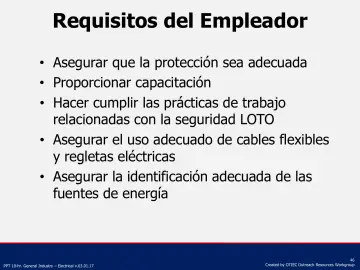 Slide 46: Requisitos del Empleador