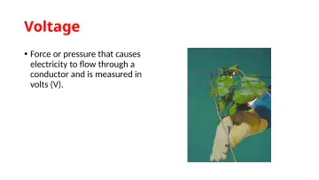 Slide 14: Voltage