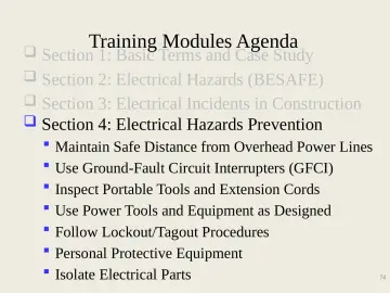 Slide 74: Training Modules Agenda