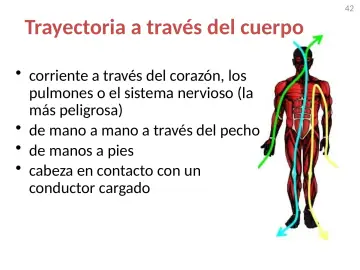 Slide 42: Trayectoria a través del cuerpo
