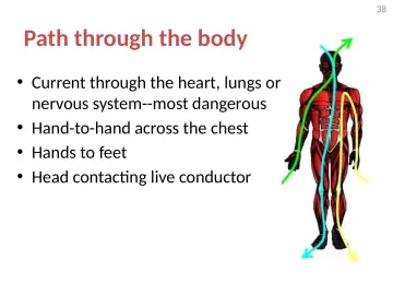 Slide 38: Path through the body