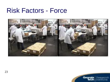Slide 23: Risk Factors - Force