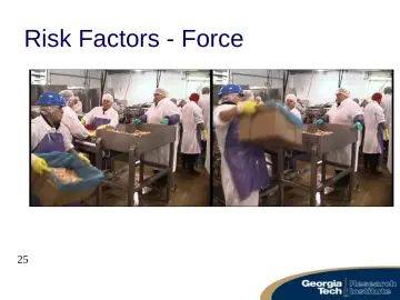 Slide 25: Risk Factors - Force