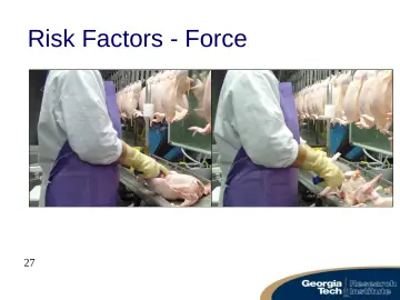 Slide 27: Risk Factors - Force