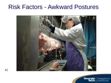 Slide 42: Risk Factors - Awkward Postures