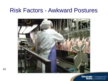 Slide 43: Risk Factors - Awkward Postures