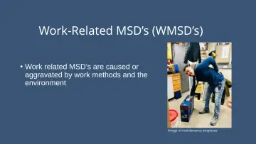 Slide 11: Work-Related MSD’s (WMSD’s)