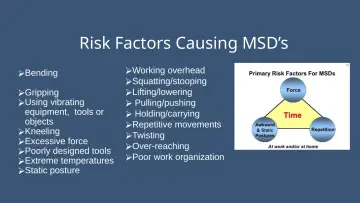 Slide 13: Risk Factors Causing MSD’s