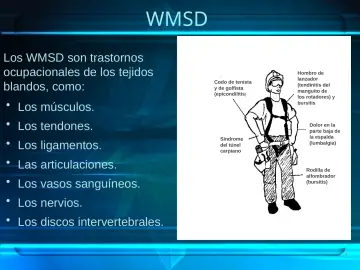 Slide 6: WMSD