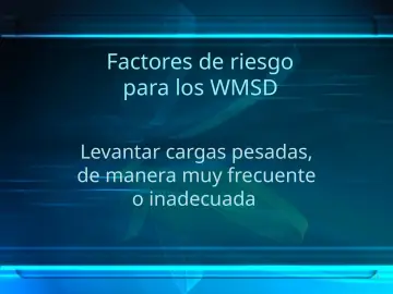 Slide 14: Factores de riesgo para los WMSD