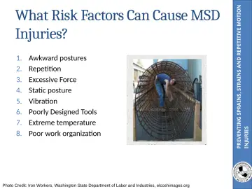 Slide 17: PREVENTING SPRAINS, STRAINS AND REPETITIVE MOTION
