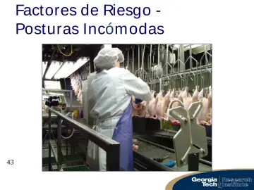 Slide 43: Factores de Riesgo - Posturas Incóm odas