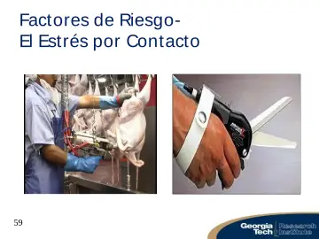 Slide 59: Factores de Riesgo-