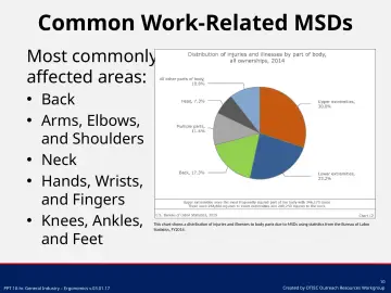 Slide 10: Common Work-Related MSDs