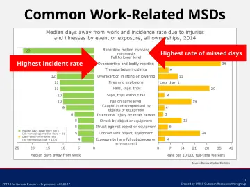 Slide 11: Common Work-Related MSDs