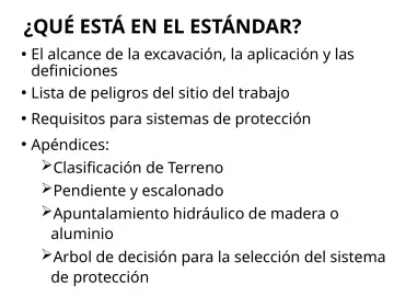 Slide 35: ¿QUÉ ESTÁ EN EL ESTÁNDAR?