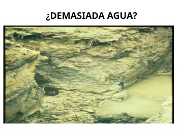 Slide 99: ¿DEMASIADA AGUA?