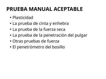 Slide 107: PRUEBA MANUAL ACEPTABLE