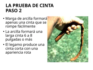 Slide 113: LA PRUEBA DE CINTA PASO 2