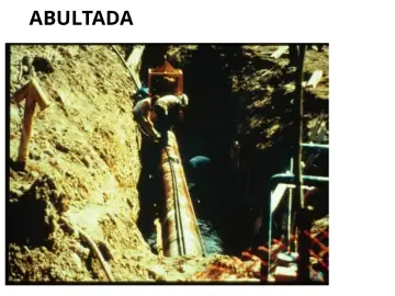 Slide 134: ABULTADA