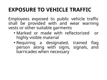 Slide 42: EXPOSURE TO VEHICLE TRAFFIC