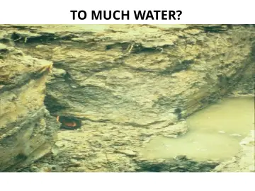 Slide 99: TO MUCH WATER?