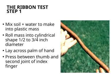 Slide 111: THE RIBBON TEST