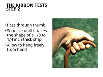 Slide 112: THE RIBBON TESTS STEP 2