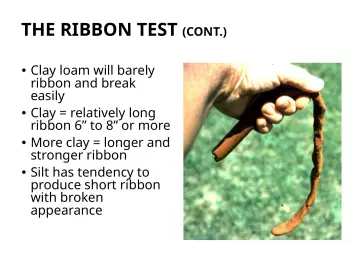 Slide 113: THE RIBBON TEST (CONT.)