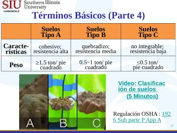 Slide 17: Términos Básicos (Parte 4)