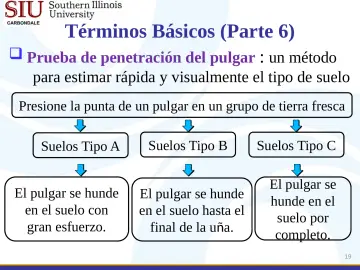 Slide 19: Términos Básicos (Parte 6)
