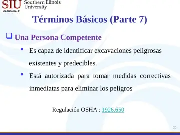 Slide 20: Términos Básicos (Parte 7)