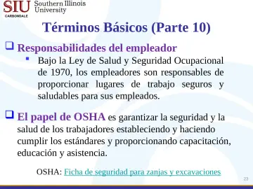 Slide 23: Términos Básicos (Parte 10)
