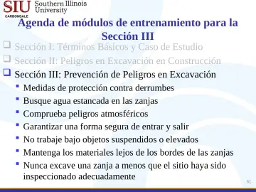 Slide 61: Agenda de módulos de entrenamiento para la Sección III
