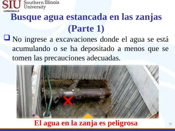 Slide 78: Busque agua estancada en las zanjas