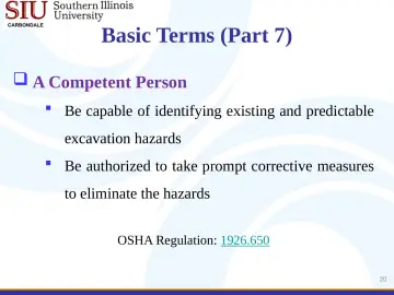 Slide 20: Basic Terms (Part 7)