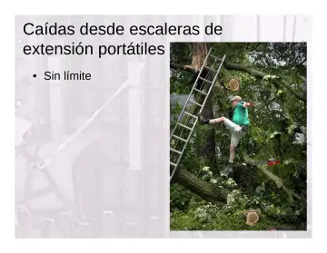 Slide 38: Caídas desde escaleras de extensión portátiles