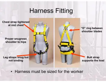 Slide 122: Harness Fitting