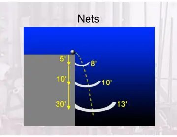 Slide 135: Nets