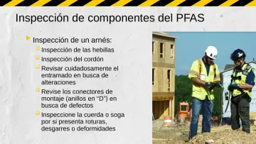 Slide 46: Inspección de componentes del PFAS