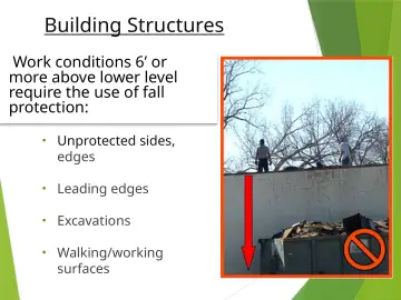 Slide 7: Building Structures